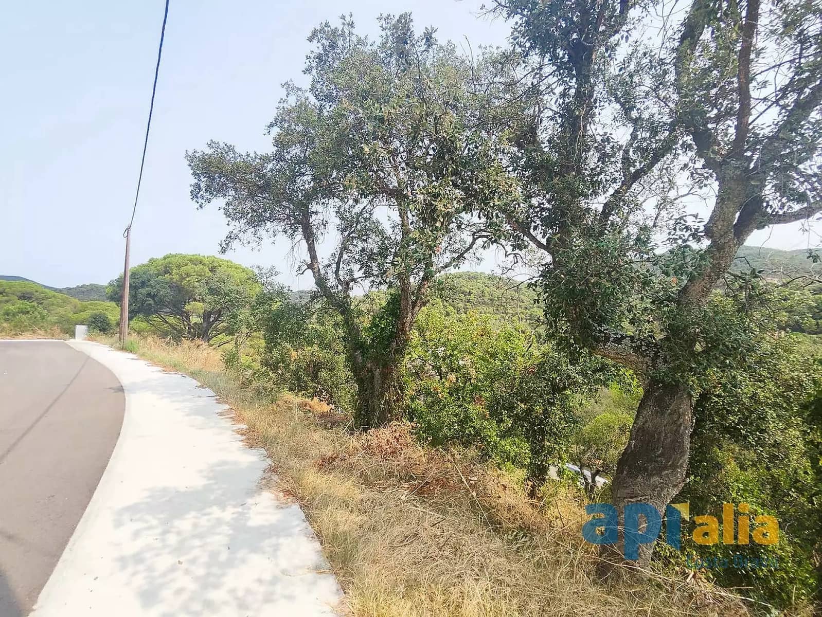 Ubebygd land til salgs i Calonge i Sant Antoni - € 45 000 (Ref: 9929021)