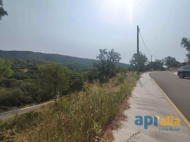 Ubebygd land til salgs i Calonge i Sant Antoni - € 45 000 (Ref: 9929021)