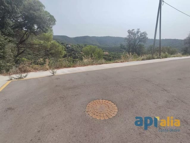 Ubebygd land til salgs i Calonge i Sant Antoni - € 45 000 (Ref: 9929021)