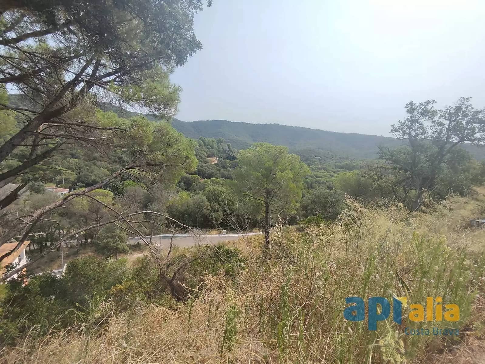 Ubebygd land til salgs i Calonge i Sant Antoni - € 45 000 (Ref: 9929021)