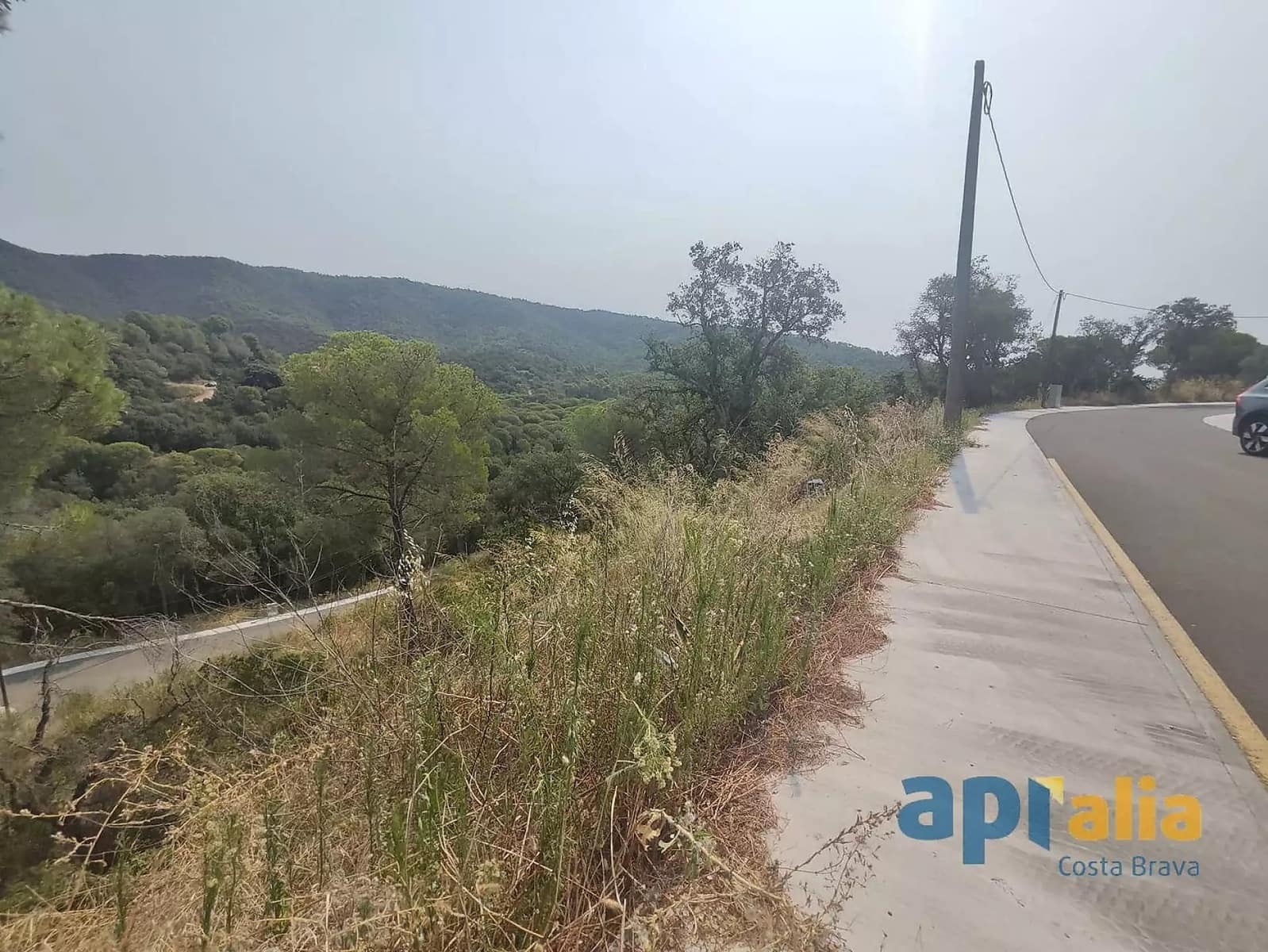 Ubebygd land til salgs i Calonge i Sant Antoni - € 45 000 (Ref: 9929021)