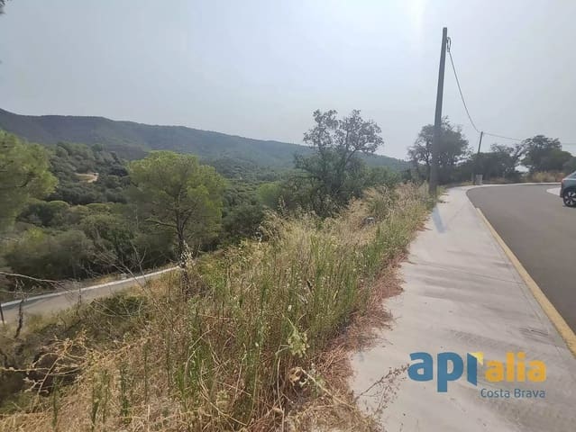 Ubebygd land til salgs i Calonge i Sant Antoni - € 45 000 (Ref: 9929021)