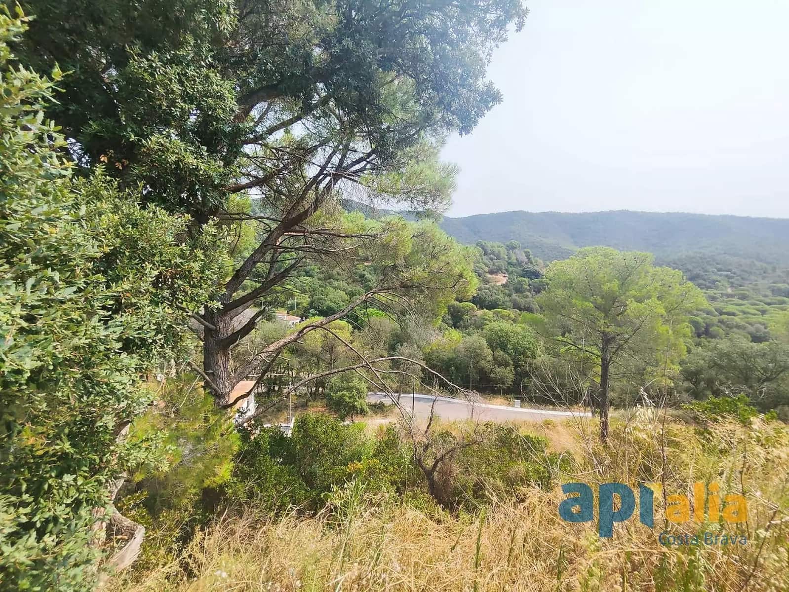 Ubebygd land til salgs i Calonge i Sant Antoni - € 45 000 (Ref: 9929021)