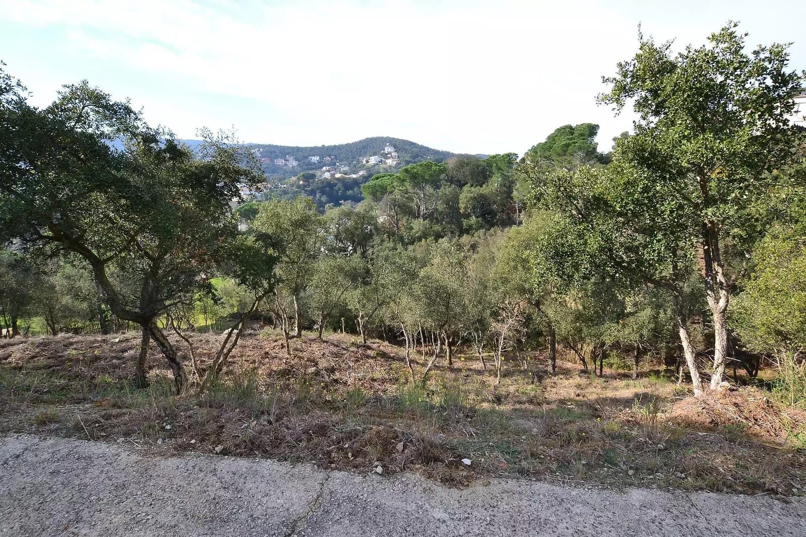 Undeveloped Land for sale in Calonge i Sant Antoni - € 90,000 (Ref: 9930381)