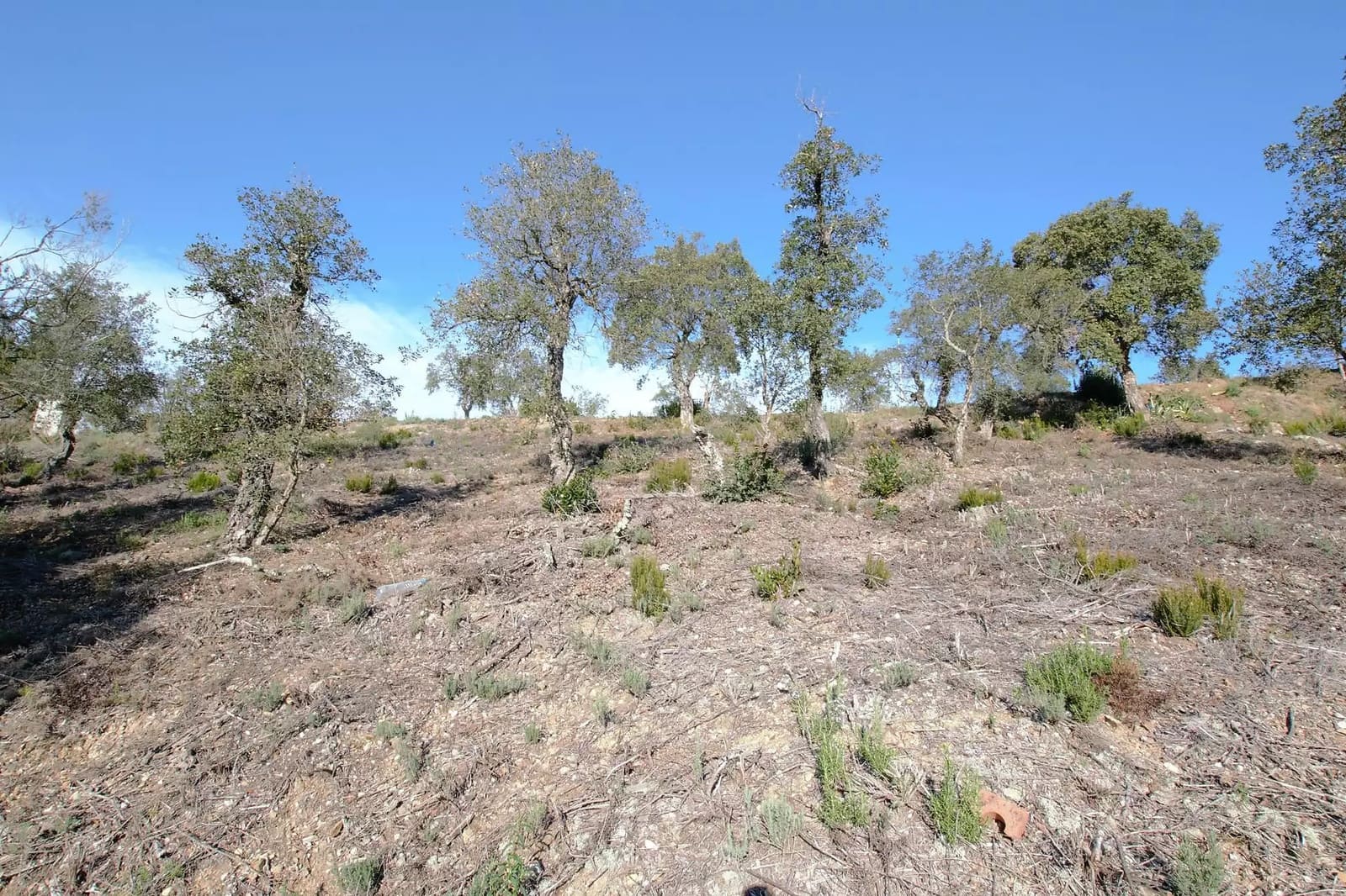 Undeveloped Land for sale in Calonge i Sant Antoni - € 90,000 (Ref: 9930382)