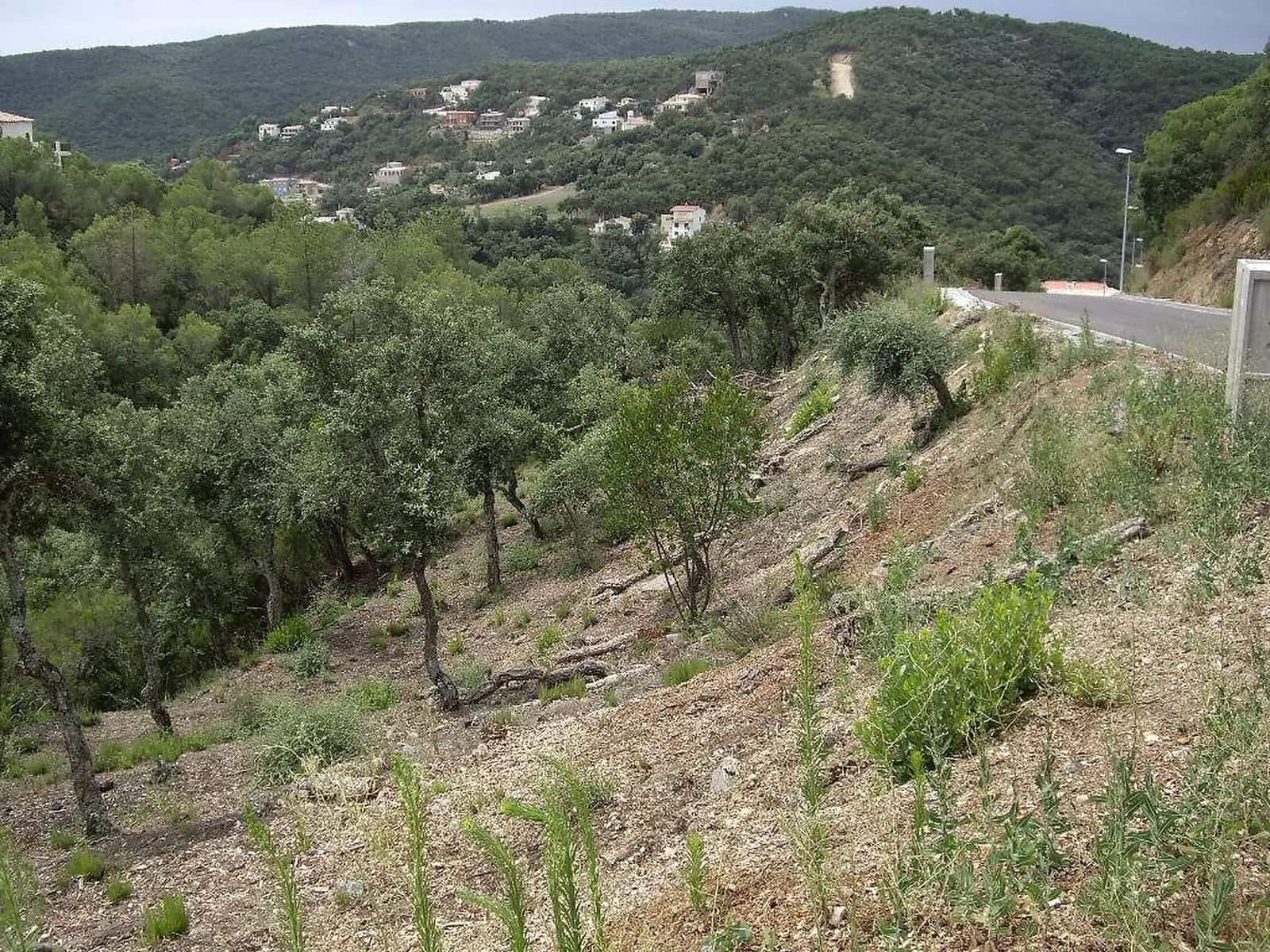 Undeveloped Land for sale in Calonge i Sant Antoni - € 90,000 (Ref: 9930382)