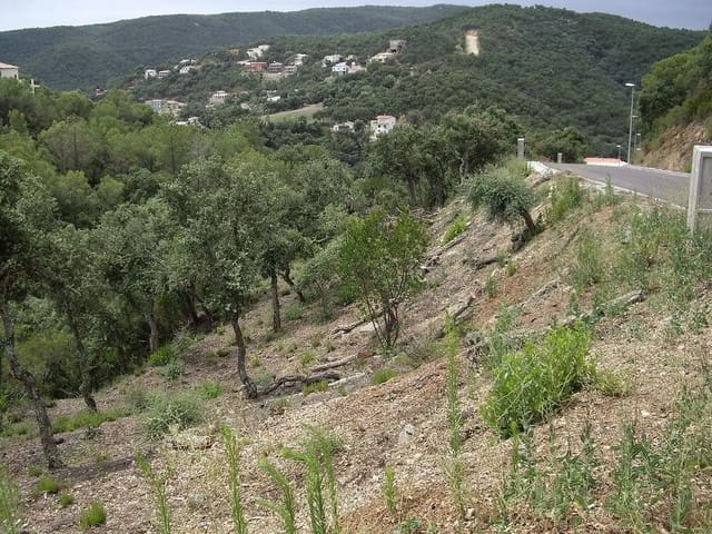 Ubebygd land til salgs i Calonge i Sant Antoni - € 90 000 (Ref: 9930382)