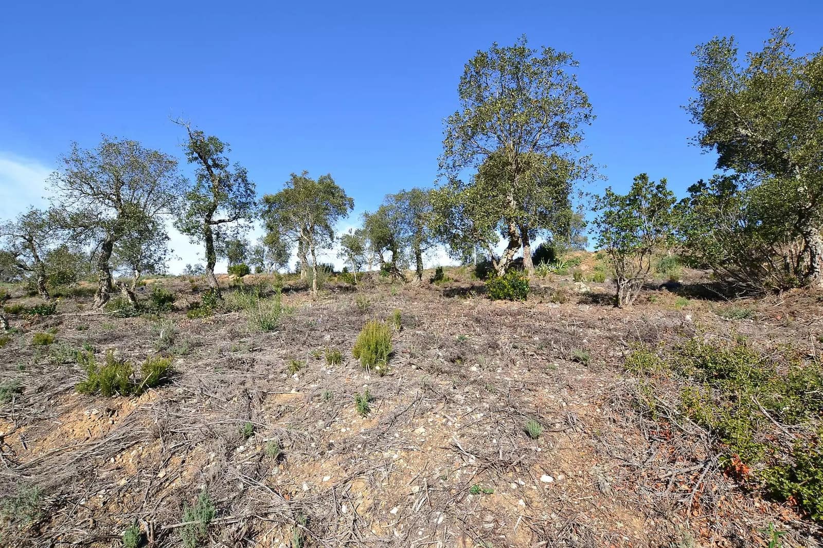 Undeveloped Land for sale in Calonge i Sant Antoni - € 90,000 (Ref: 9930382)