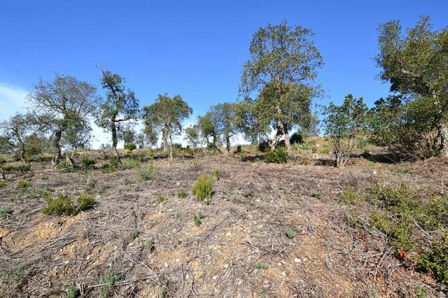 Ubebygd land til salgs i Calonge i Sant Antoni - € 90 000 (Ref: 9930382)