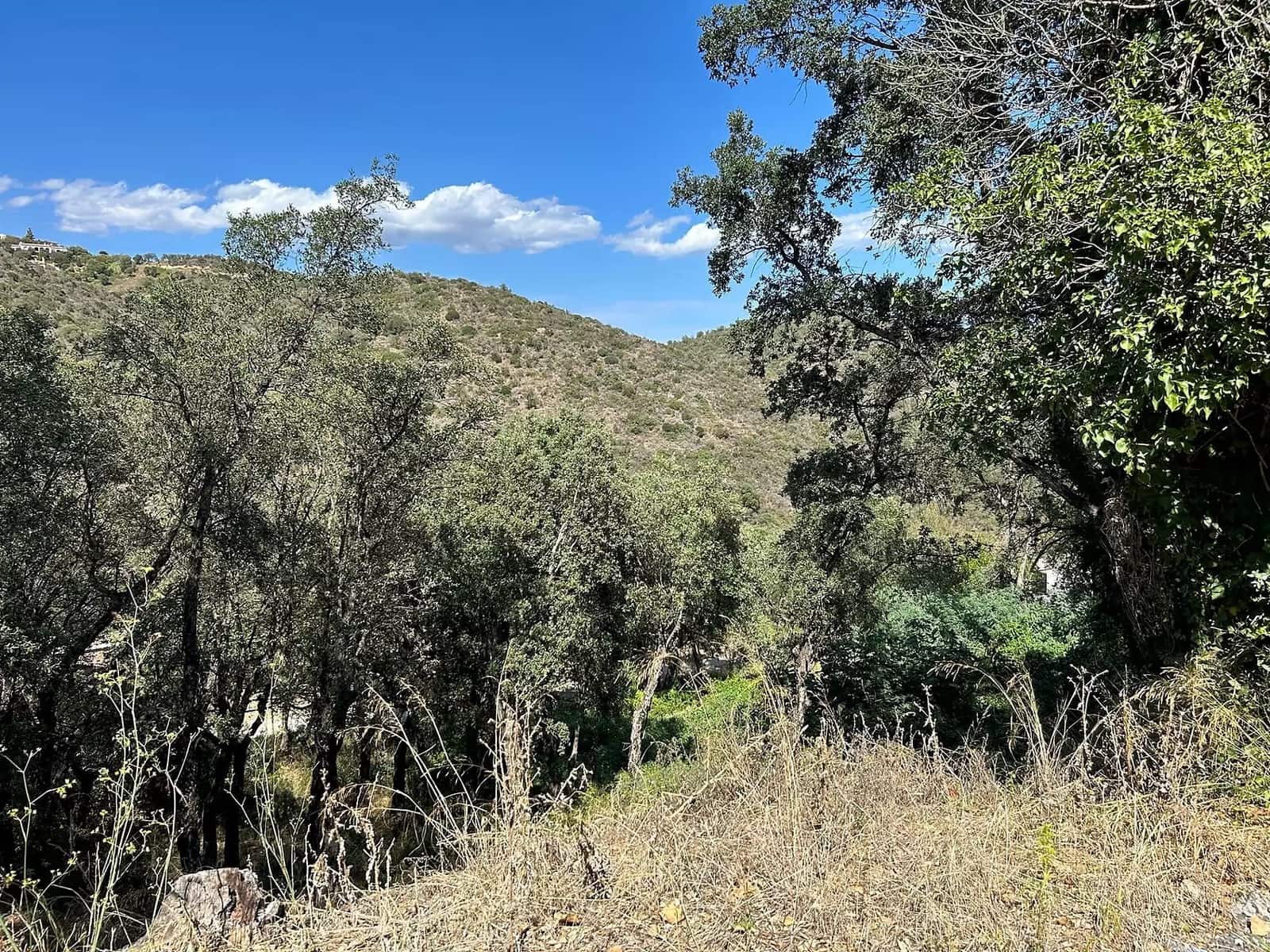Undeveloped Land for sale in Castell d'Aro - € 170,000 (Ref: 9930383)
