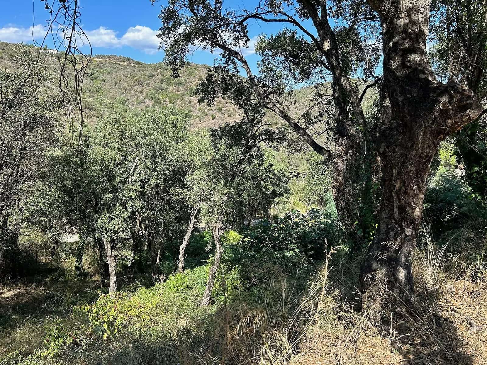 Undeveloped Land for sale in Castell d'Aro - € 170,000 (Ref: 9930383)