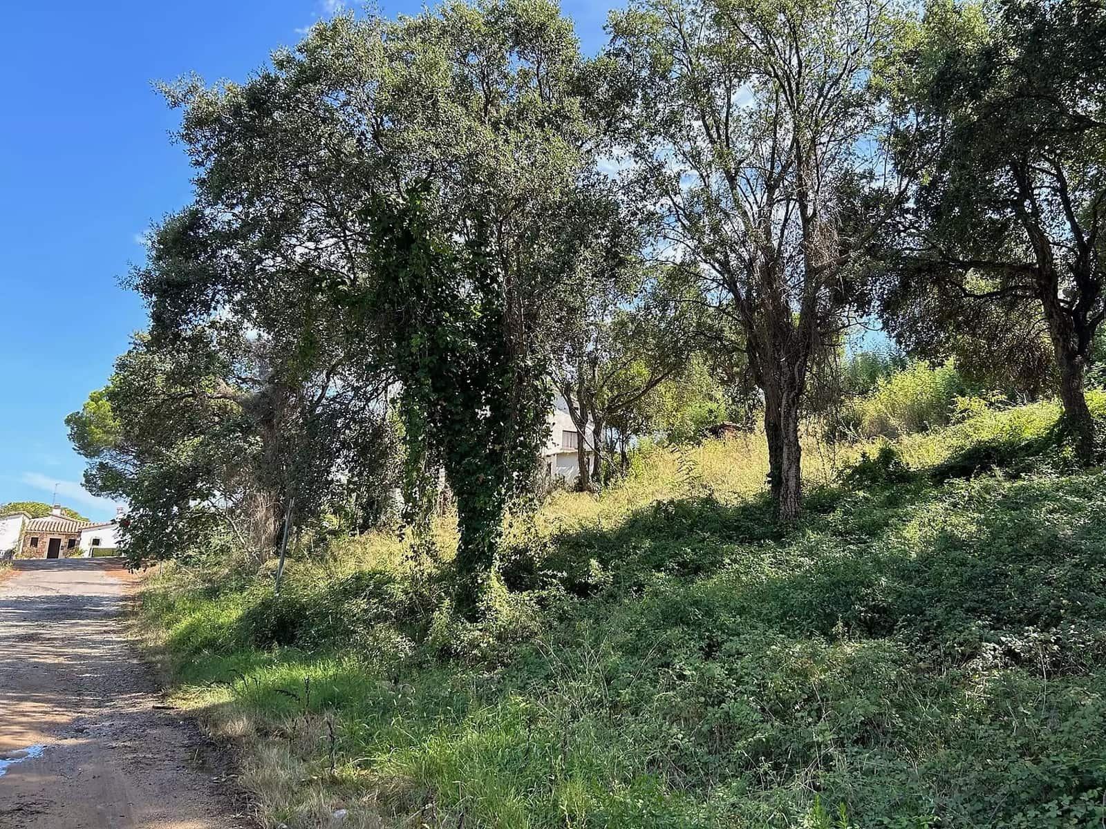 Undeveloped Land for sale in Castell d'Aro - € 170,000 (Ref: 9930383)