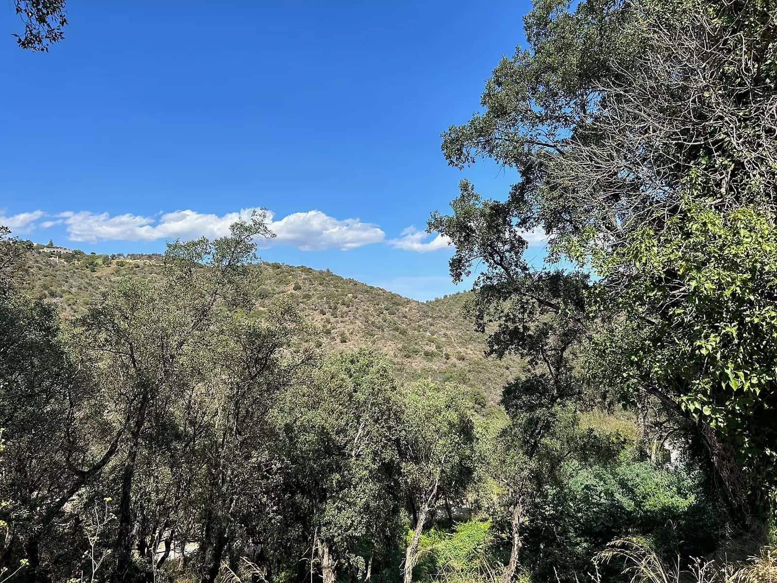 Undeveloped Land for sale in Castell d'Aro - € 170,000 (Ref: 9930383)