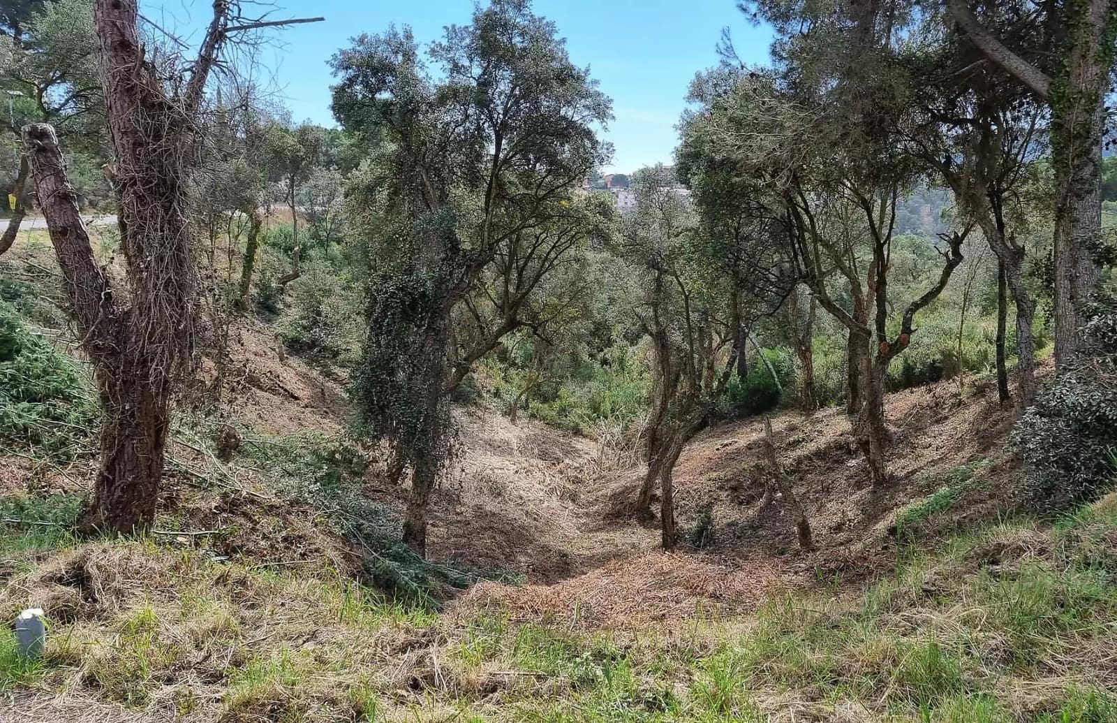 Undeveloped Land for sale in Calonge i Sant Antoni - € 90,000 (Ref: 9930384)
