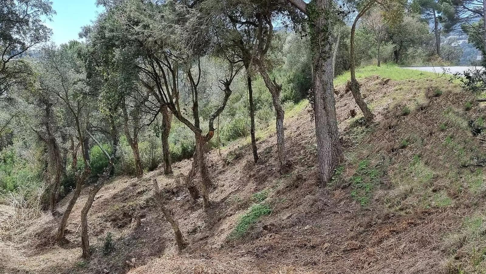 Undeveloped Land for sale in Calonge i Sant Antoni - € 90,000 (Ref: 9930384)