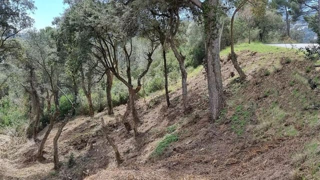 Ubebygd land til salgs i Calonge i Sant Antoni - € 90 000 (Ref: 9930384)