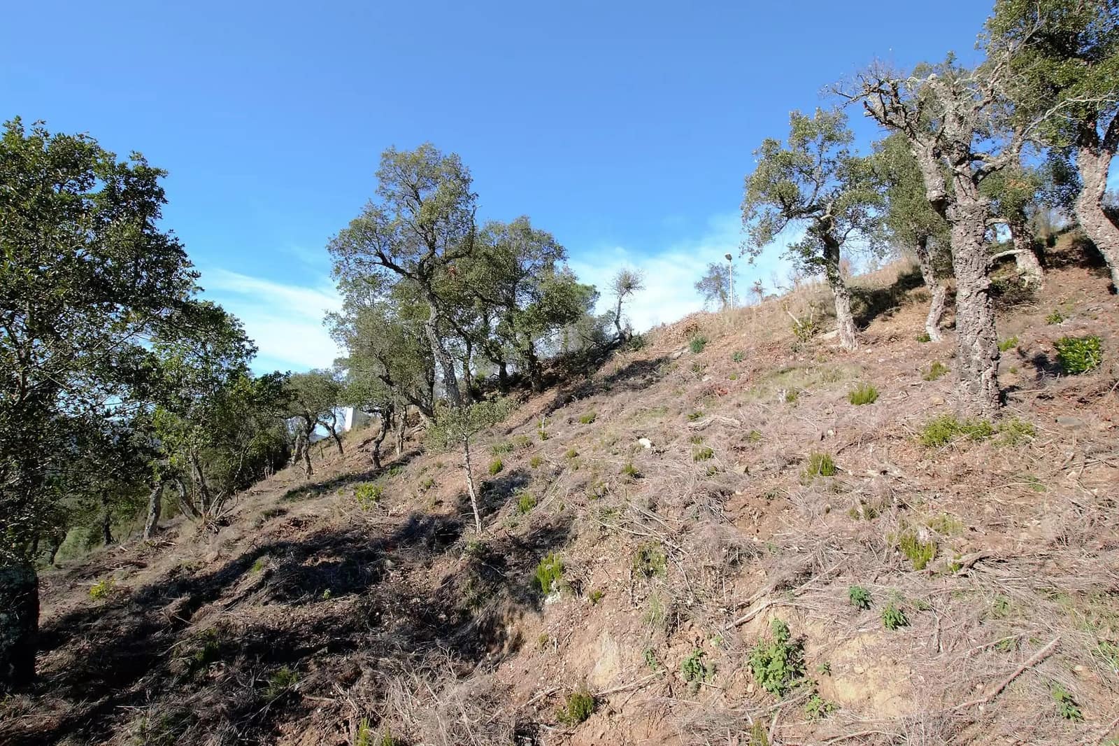 Undeveloped Land for sale in Calonge i Sant Antoni - € 90,000 (Ref: 9930385)