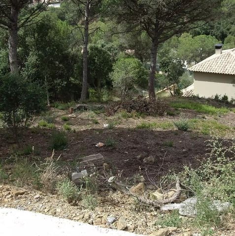 Ubebygd land til salgs i Calonge i Sant Antoni - € 62 000 (Ref: 9930386)