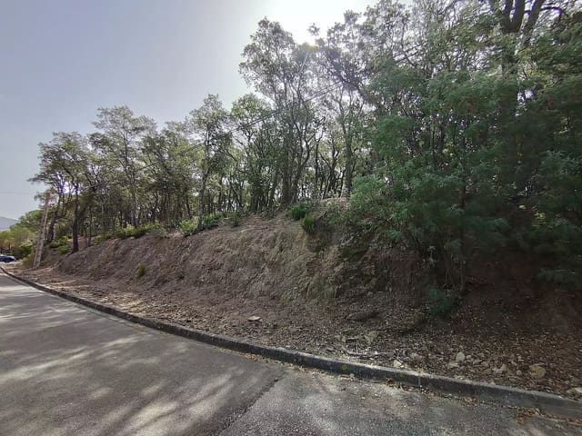Grunde uden byggetilladelser til salg i Santa Cristina d'Aro - € 67.000 (Ref: 9930387)