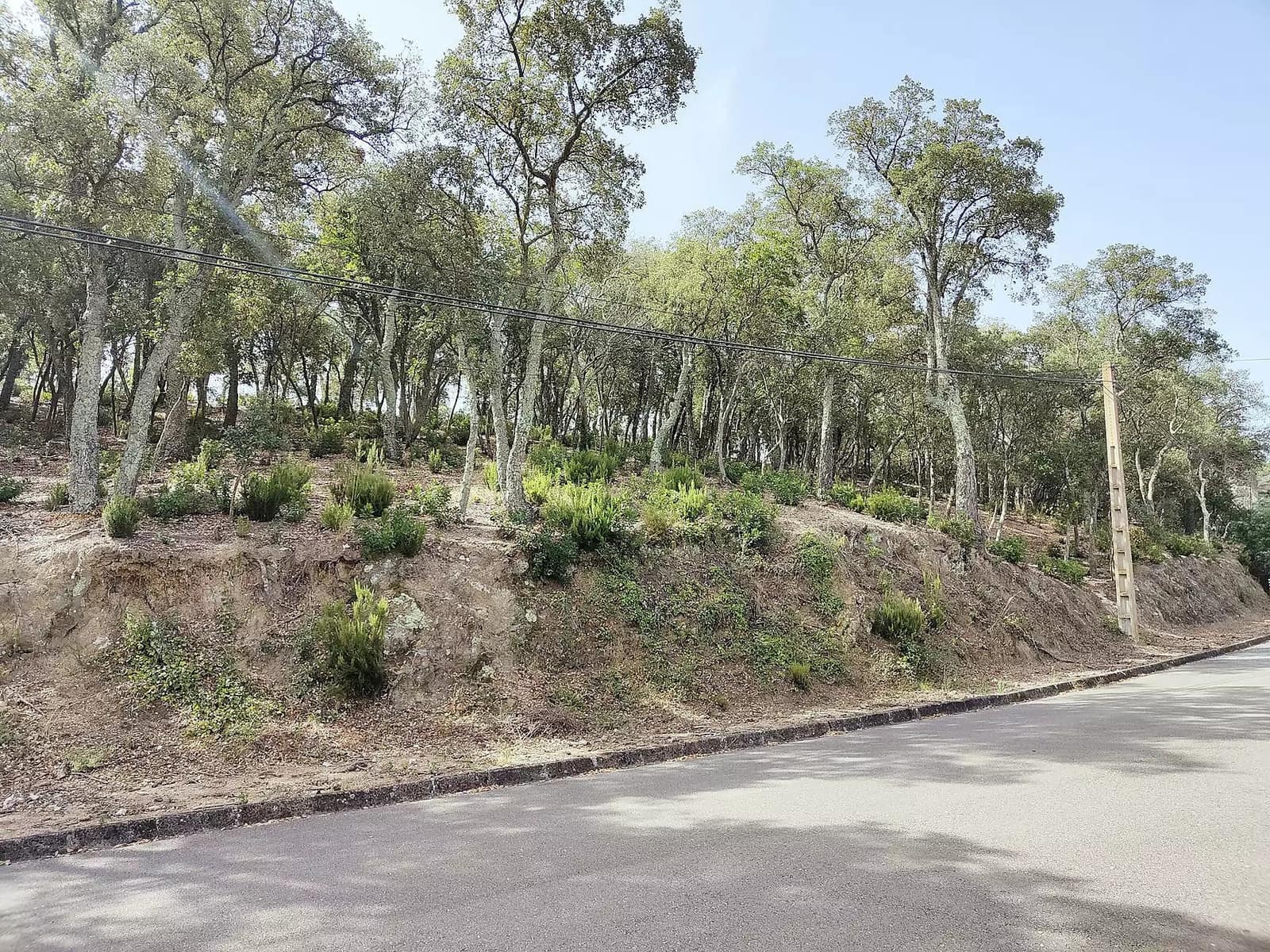 Undeveloped Land for sale in Santa Cristina d'Aro - € 67,000 (Ref: 9930387)