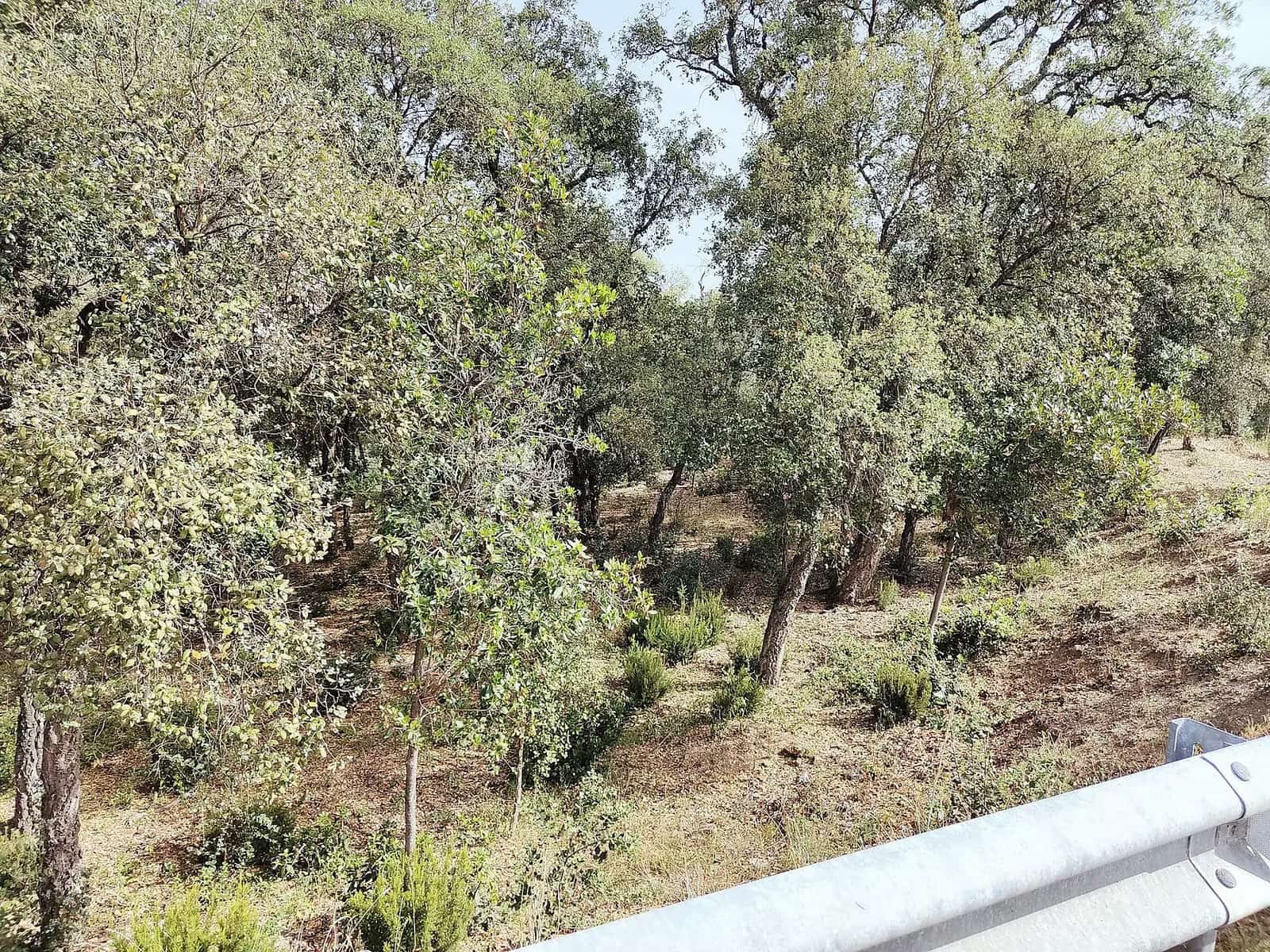 Undeveloped Land for sale in Santa Cristina d'Aro - € 67,000 (Ref: 9930387)