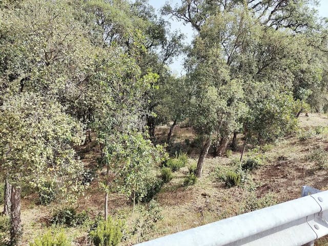Grunde uden byggetilladelser til salg i Santa Cristina d'Aro - € 67.000 (Ref: 9930387)
