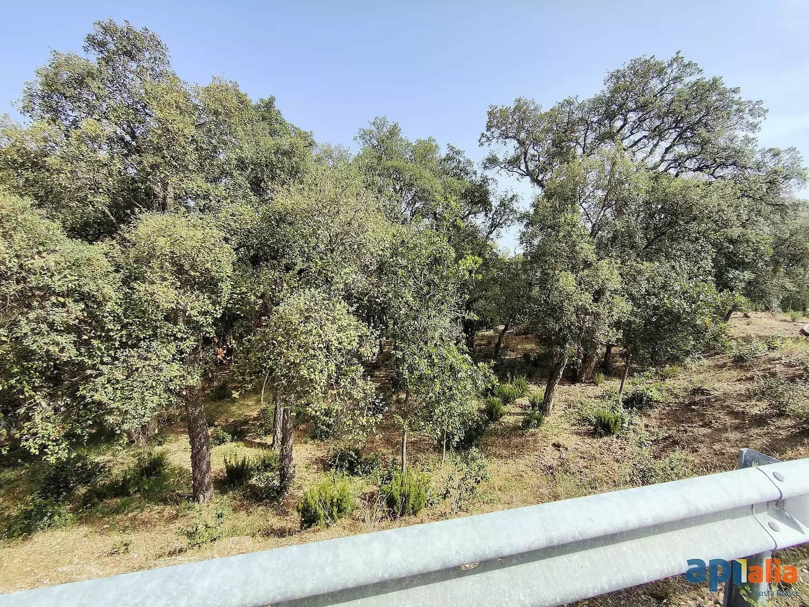 Undeveloped Land for sale in Santa Cristina d'Aro - € 67,000 (Ref: 9930387)