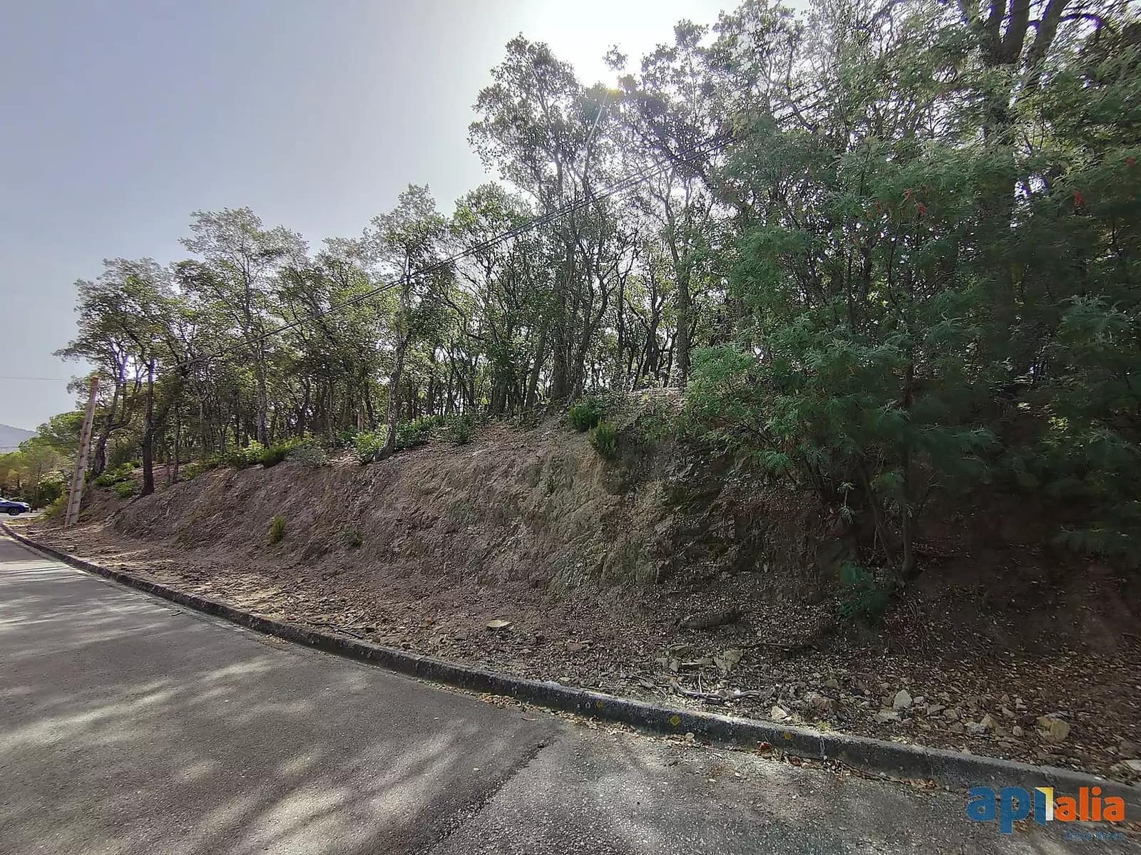 Undeveloped Land for sale in Santa Cristina d'Aro - € 67,000 (Ref: 9930387)