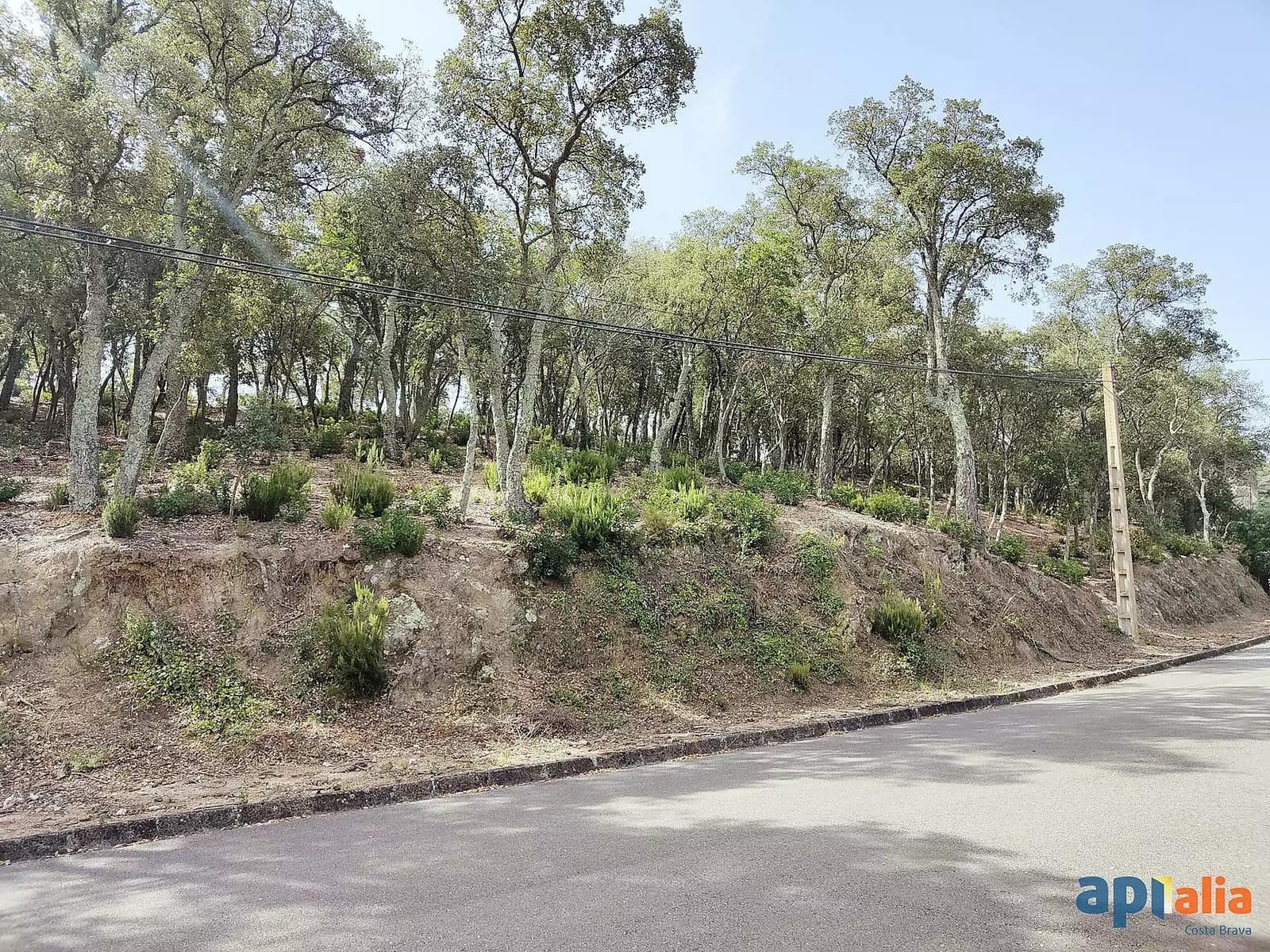 Undeveloped Land for sale in Santa Cristina d'Aro - € 67,000 (Ref: 9930387)