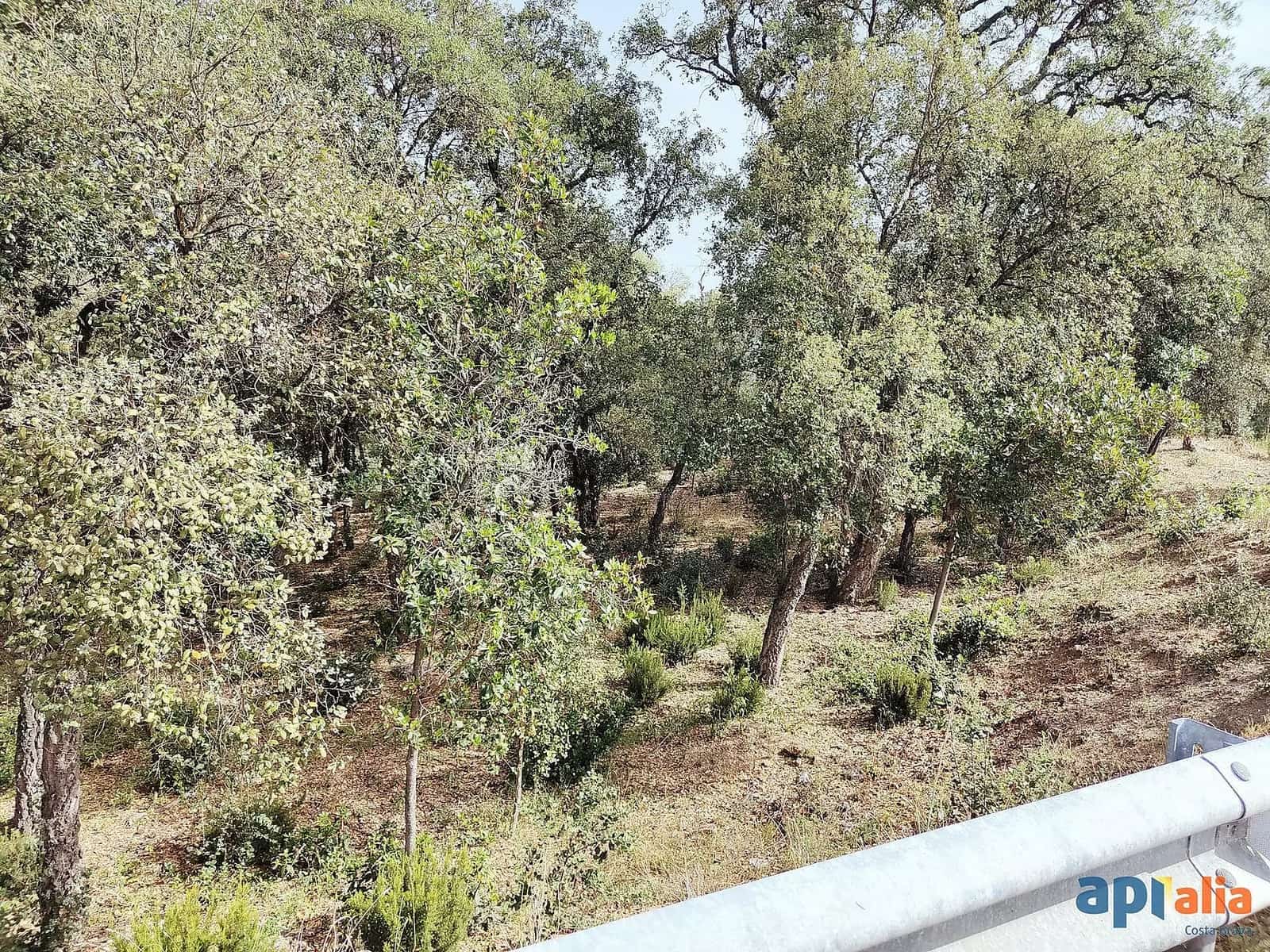 Undeveloped Land for sale in Santa Cristina d'Aro - € 67,000 (Ref: 9930387)