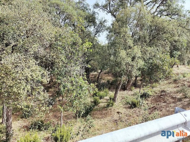 Ubebygd land til salgs i Santa Cristina d'Aro - € 67 000 (Ref: 9930387)