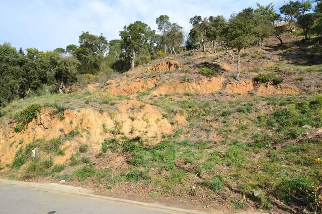 Ubebygd land til salgs i Calonge i Sant Antoni - € 90 000 (Ref: 9930388)