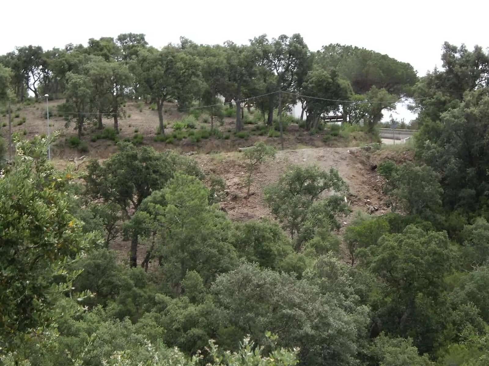 Undeveloped Land for sale in Calonge i Sant Antoni - € 85,000 (Ref: 9930389)