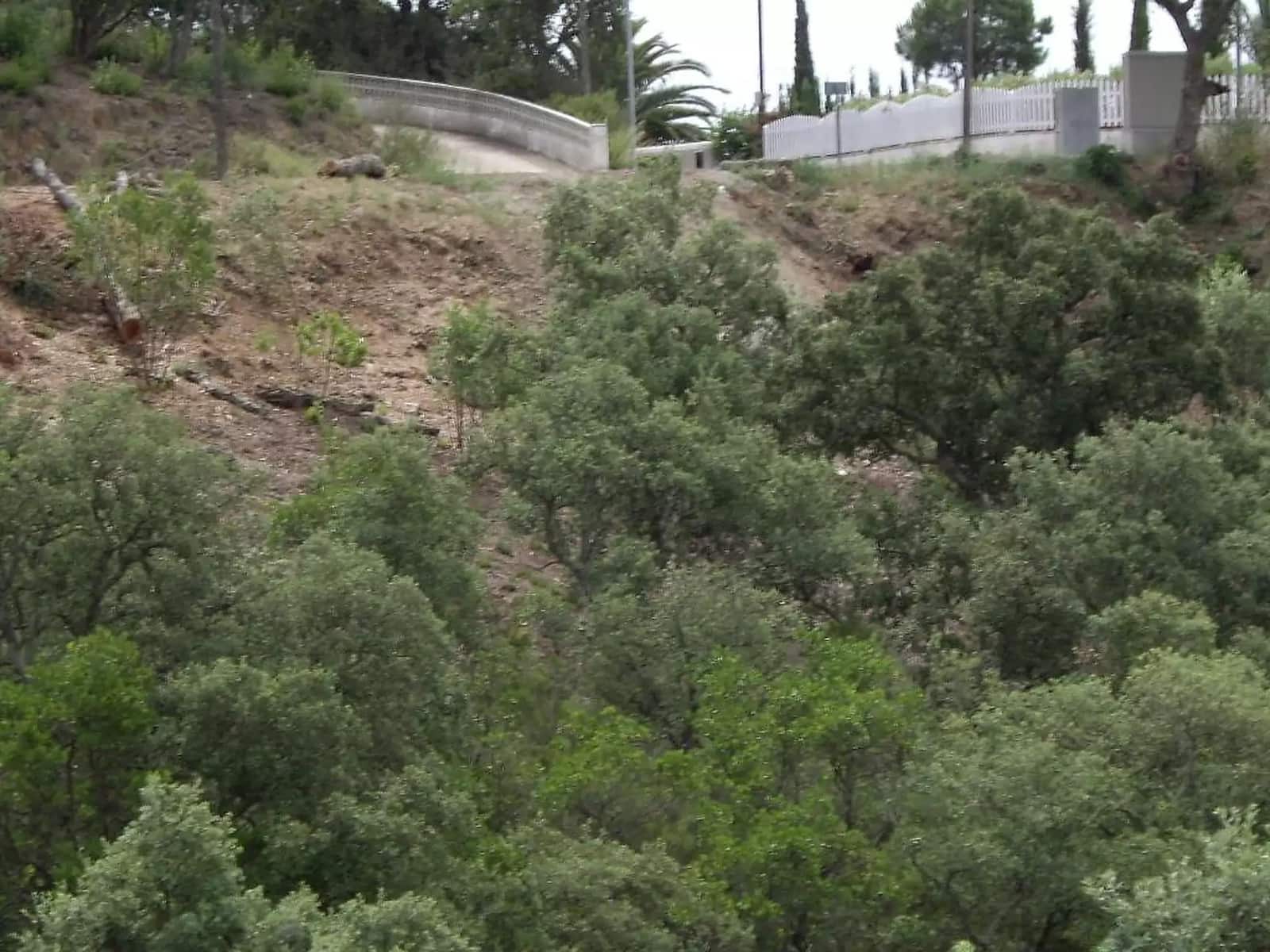 Undeveloped Land for sale in Calonge i Sant Antoni - € 85,000 (Ref: 9930389)