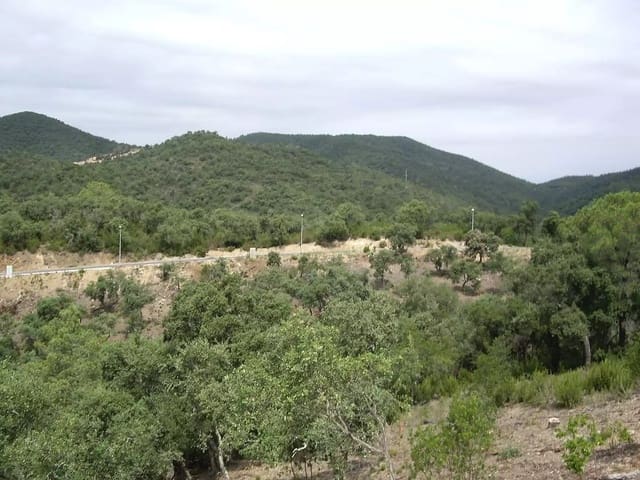 Ubebygd land til salgs i Calonge i Sant Antoni - € 85 000 (Ref: 9930389)