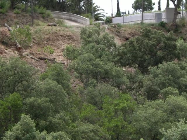 Ubebygd land til salgs i Calonge i Sant Antoni - € 85 000 (Ref: 9930389)