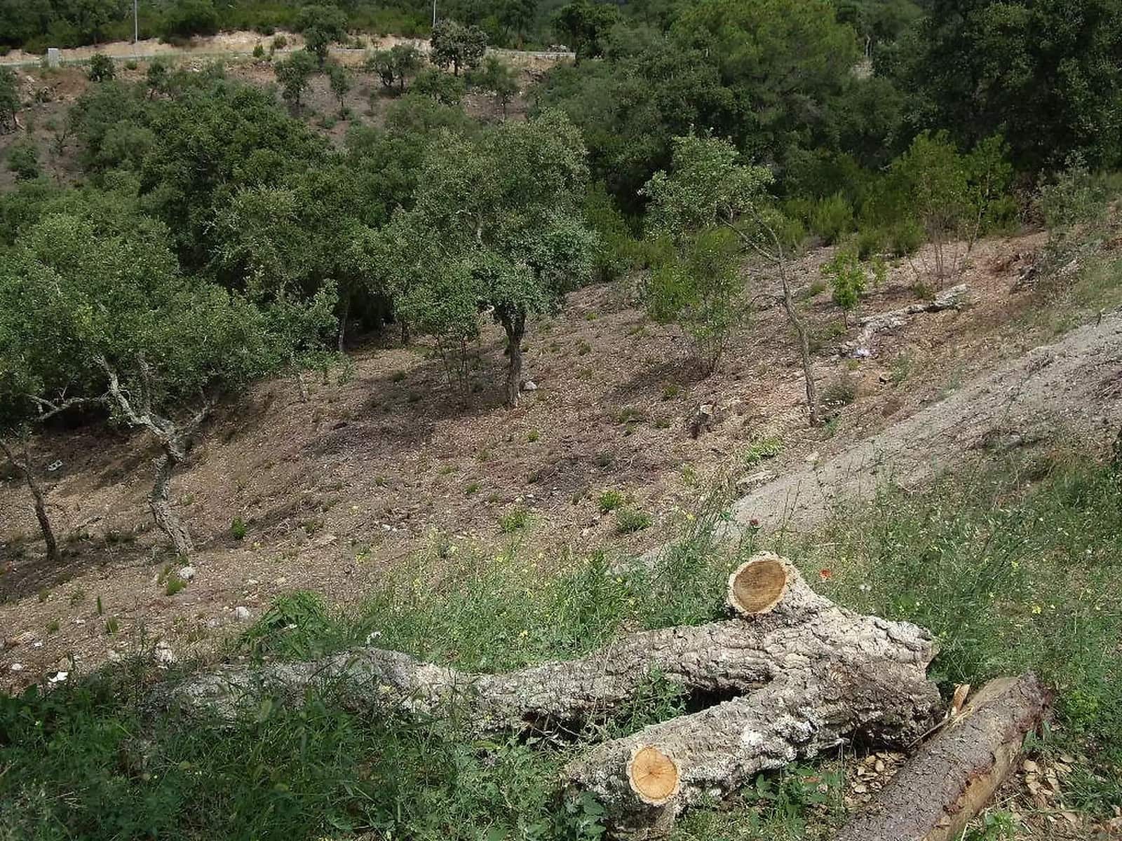 Undeveloped Land for sale in Calonge i Sant Antoni - € 85,000 (Ref: 9930389)