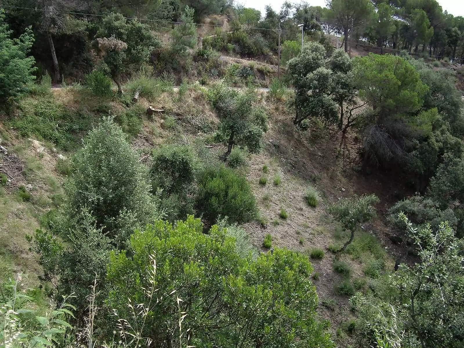 Mark till salu i Calonge i Sant Antoni - 57 000 € (Ref: 9930390)