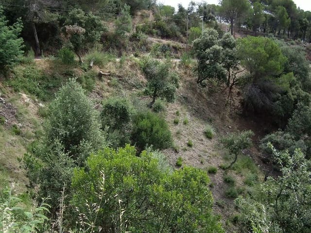 Ubebygd land til salgs i Calonge i Sant Antoni - € 57 000 (Ref: 9930390)