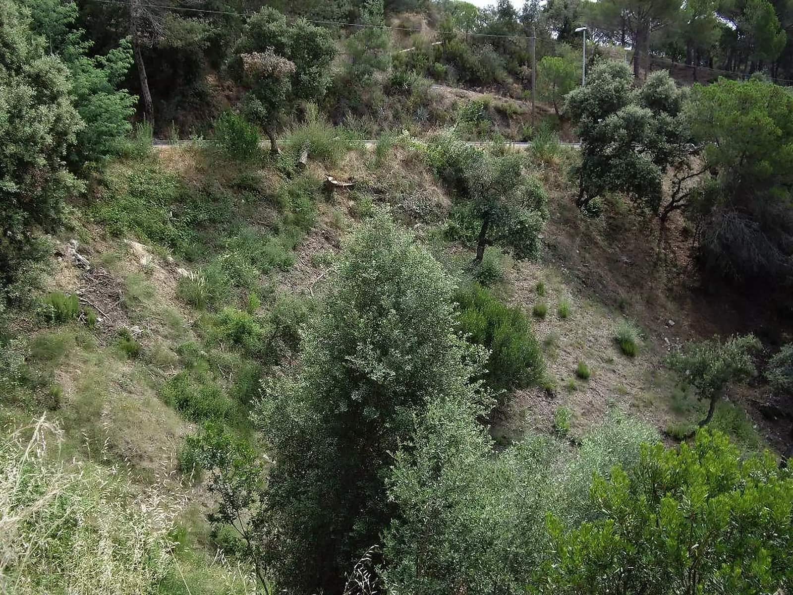 Mark till salu i Calonge i Sant Antoni - 57 000 € (Ref: 9930390)