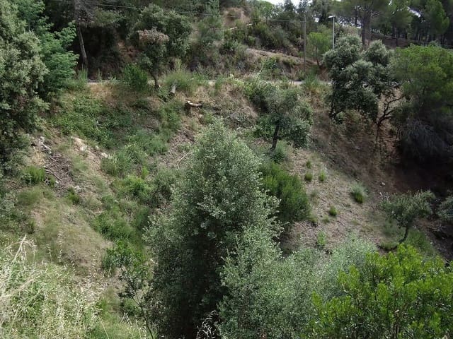 Ubebygd land til salgs i Calonge i Sant Antoni - € 57 000 (Ref: 9930390)
