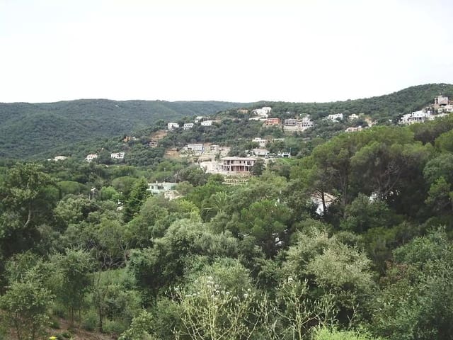 Ubebygd land til salgs i Calonge i Sant Antoni - € 85 000 (Ref: 9930391)