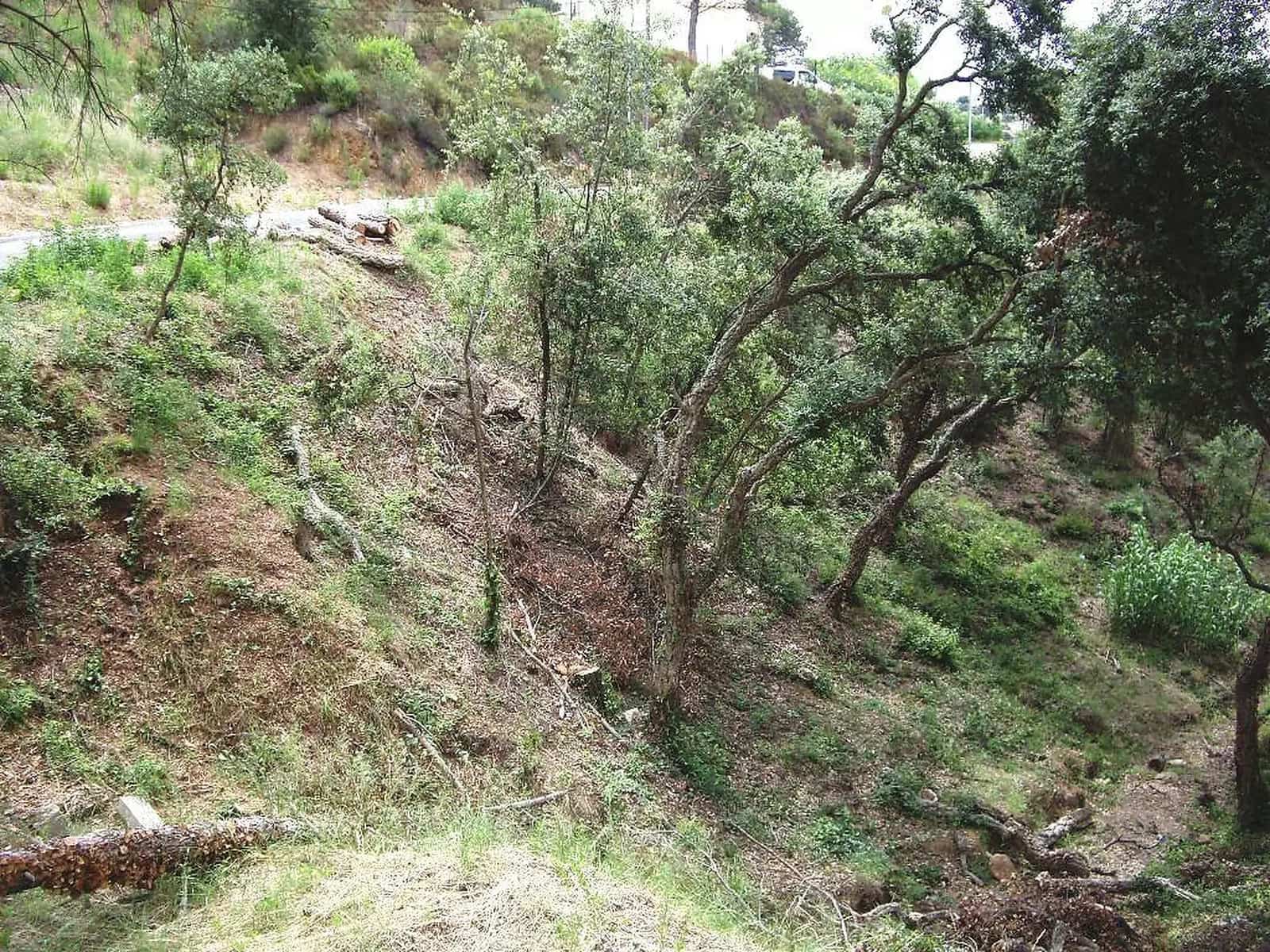 Grunde uden byggetilladelser til salg i Calonge i Sant Antoni - € 85.000 (Ref: 9930391)