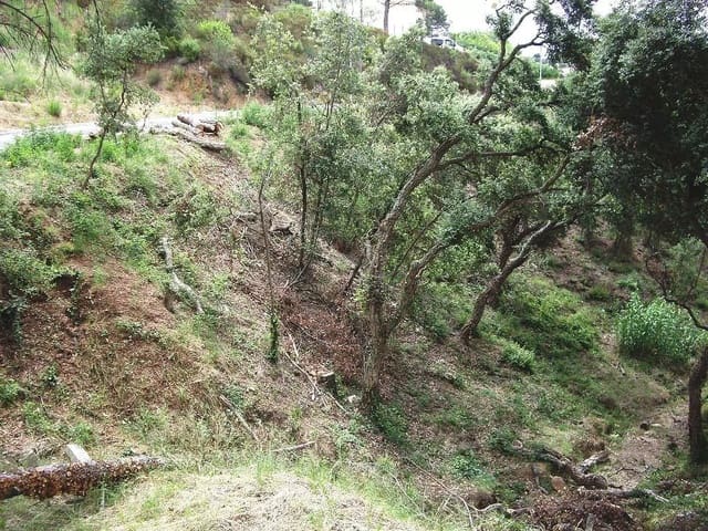 Ubebygd land til salgs i Calonge i Sant Antoni - € 85 000 (Ref: 9930391)