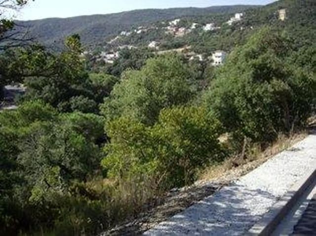 Ubebygd land til salgs i Calonge i Sant Antoni - € 85 000 (Ref: 9930392)