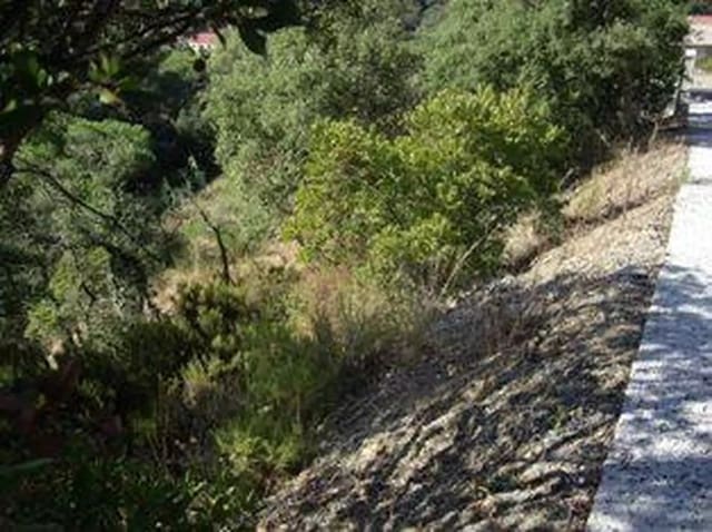 Ubebygd land til salgs i Calonge i Sant Antoni - € 85 000 (Ref: 9930392)
