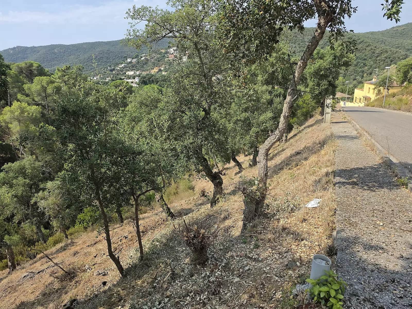 Undeveloped Land for sale in Calonge i Sant Antoni - € 85,000 (Ref: 9930392)