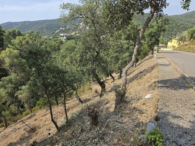 Landgrundstück zu verkaufen in Calonge i Sant Antoni - 85.000 € (Ref: 9930392)