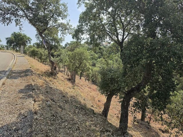 Landgrundstück zu verkaufen in Calonge i Sant Antoni - 85.000 € (Ref: 9930392)