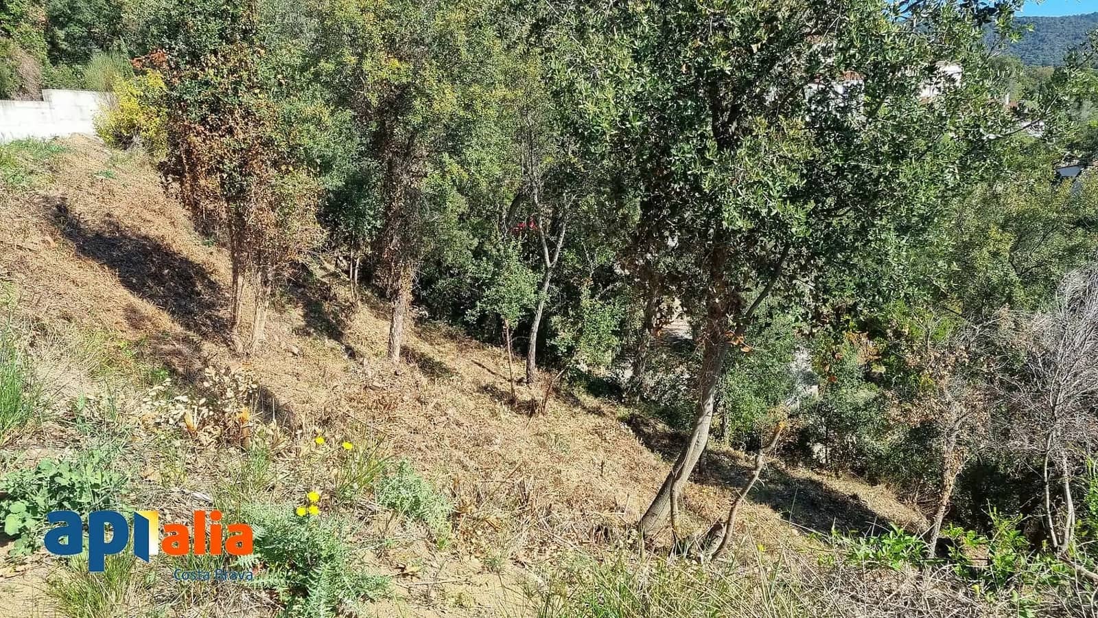 Terreno Non Edificato in vendita in Calonge i Sant Antoni - 68.000 € (Rif: 9930393)